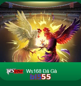 bl555
